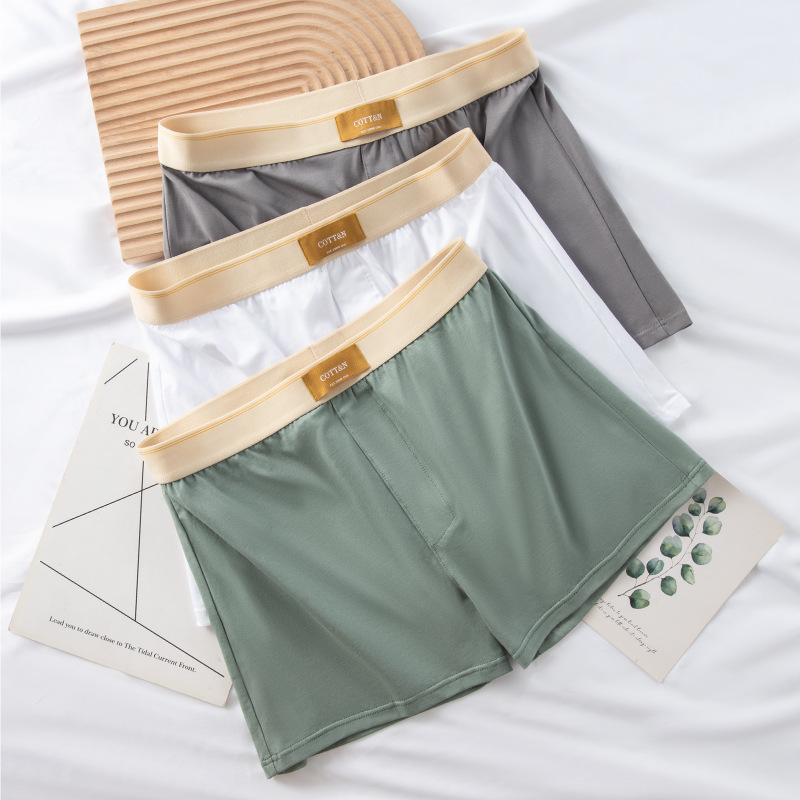 4 قطعة السهم الذكور السراويل ا - مراجعة Boxer Brief Pack Cotton وسعره